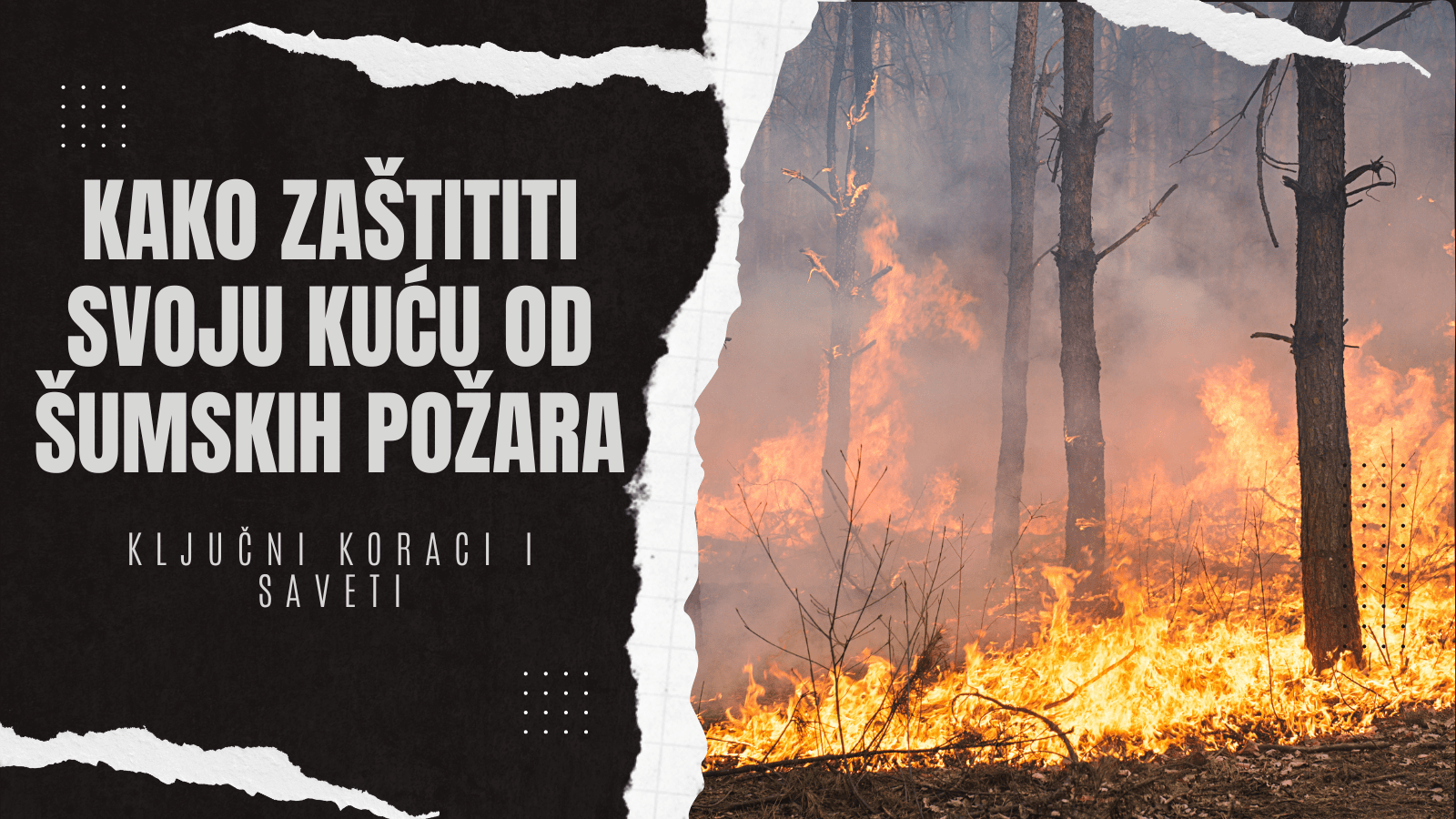 naslovna slika Kako Zaštititi Kuću od Šumskih Požara