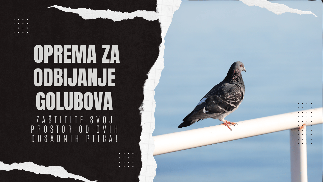 Oprema za Odbijanje Golubova