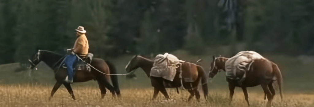 Ray Mears' Survival Series