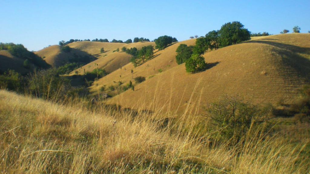 Deliblatska peščara