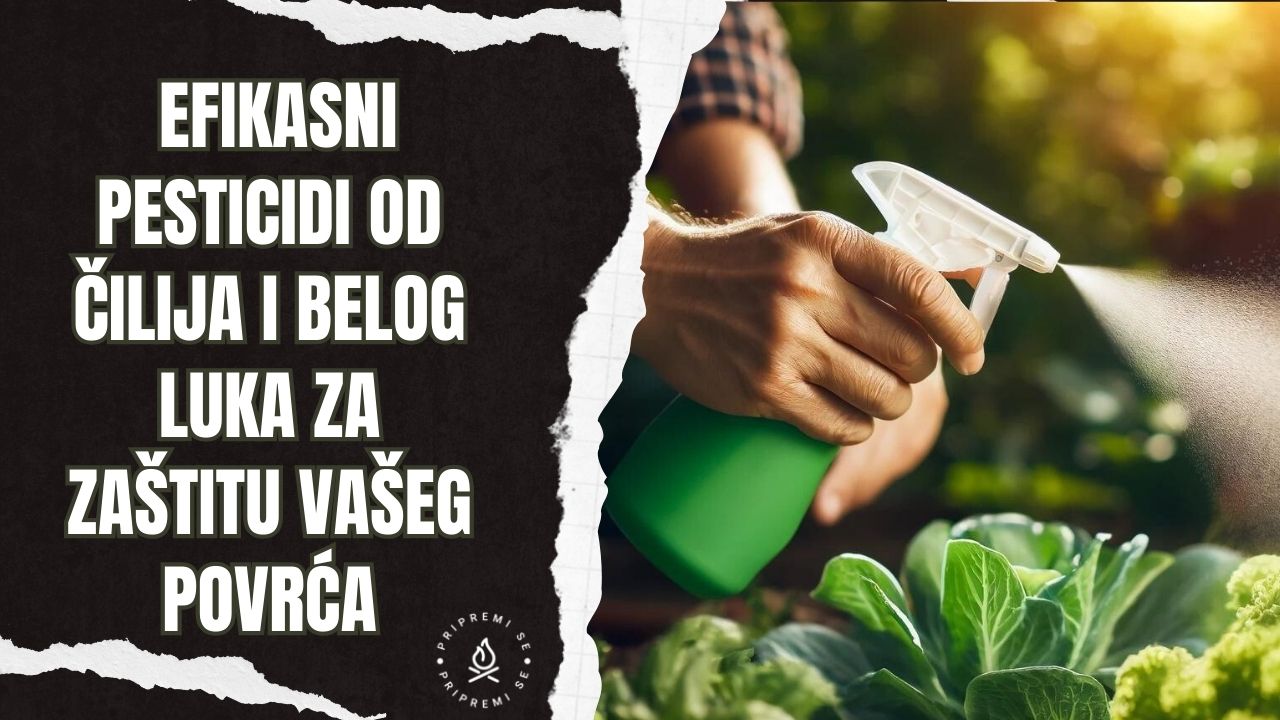 Efikasni Pesticidi od Čilija i Belog Luka za Zaštitu Vašeg Povrća