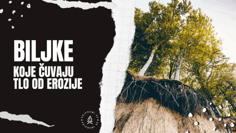 Biljke koje drže zemlju i sprečavaju eroziju