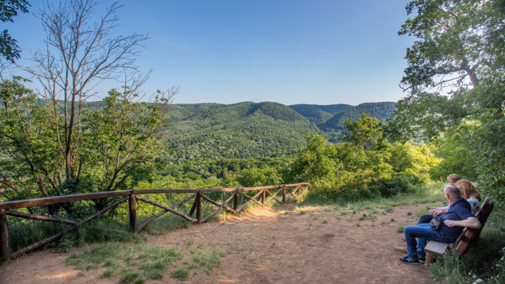 Popovica - Fruška Gora